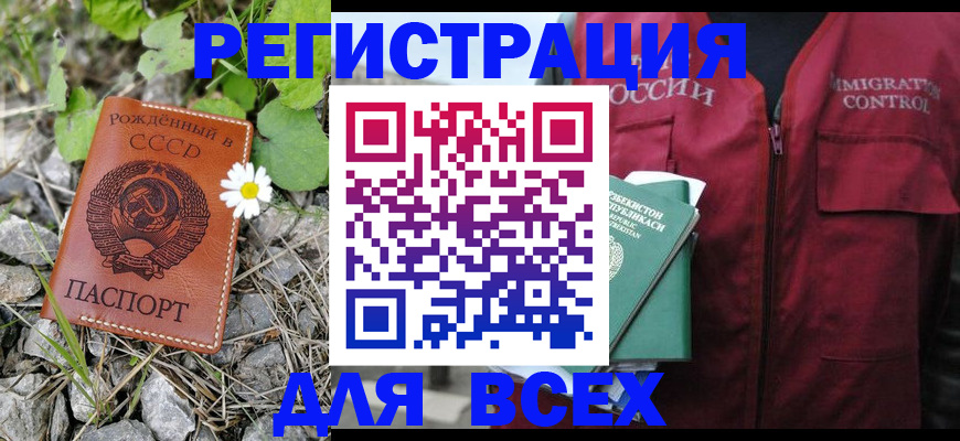 прописка поиск в Купино