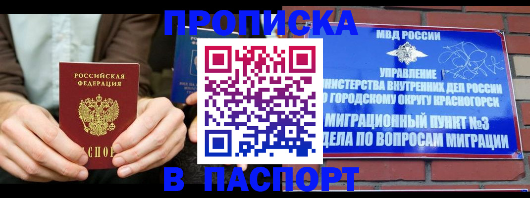 где прописаться в Купино